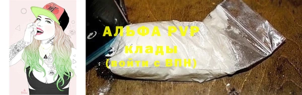 шишки Верея