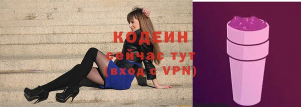 шишки Верея