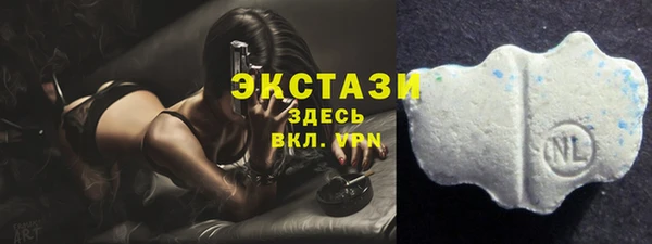 шишки Верея