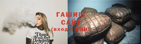 шишки Верея