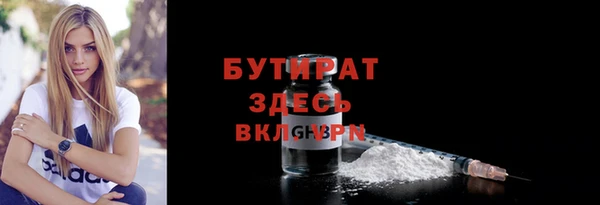 шишки Верея