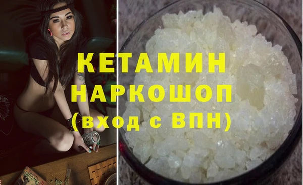 шишки Верея